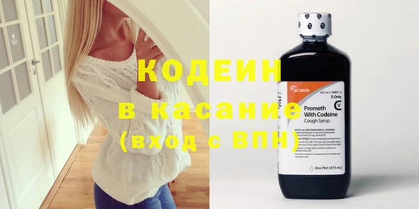 прущие грибы Балахна
