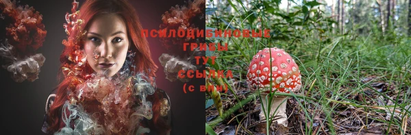 спайс Баксан
