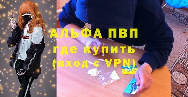 спайс Баксан