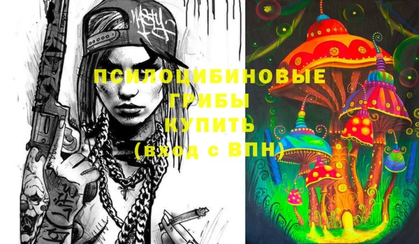 прущие грибы Балахна