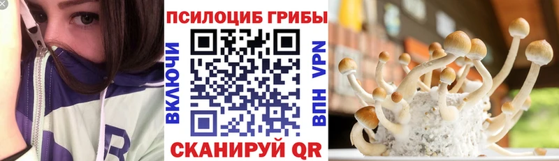 Галлюциногенные грибы GOLDEN TEACHER  KRAKEN зеркало  Вяземский  купить  сайты 